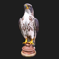 Falcon bust statue display sculpture 3D model